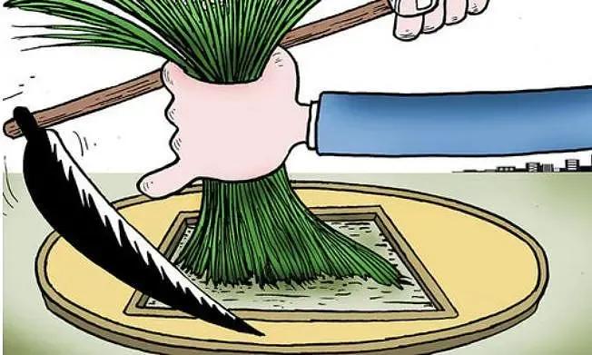 互联网付费赚钱项目靠谱吗,淘宝赚钱项目靠谱吗