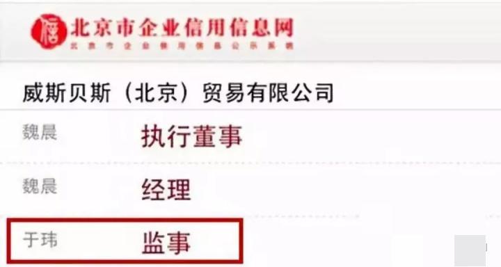 魏晨梗王稳定发挥,新晋梗王魏晨完整版