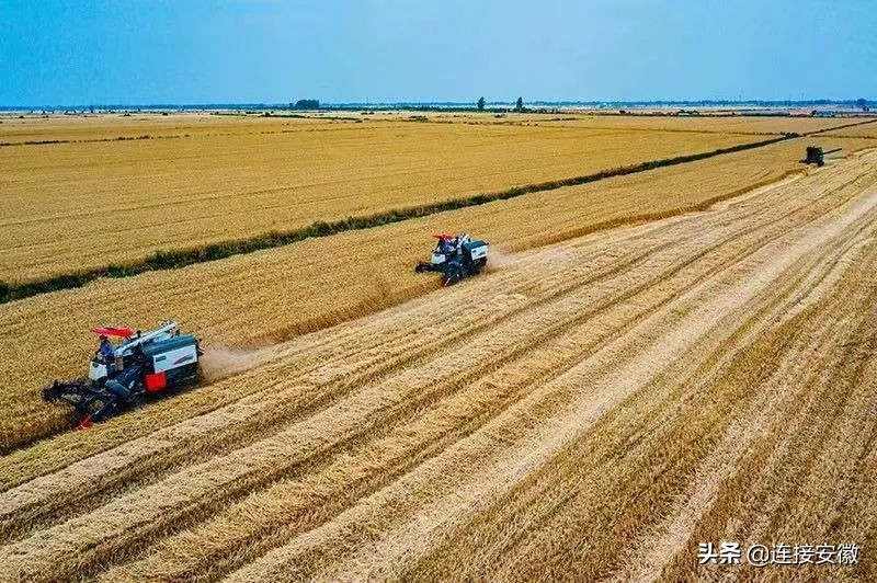 粮食怎么办,怎么解决粮食问题