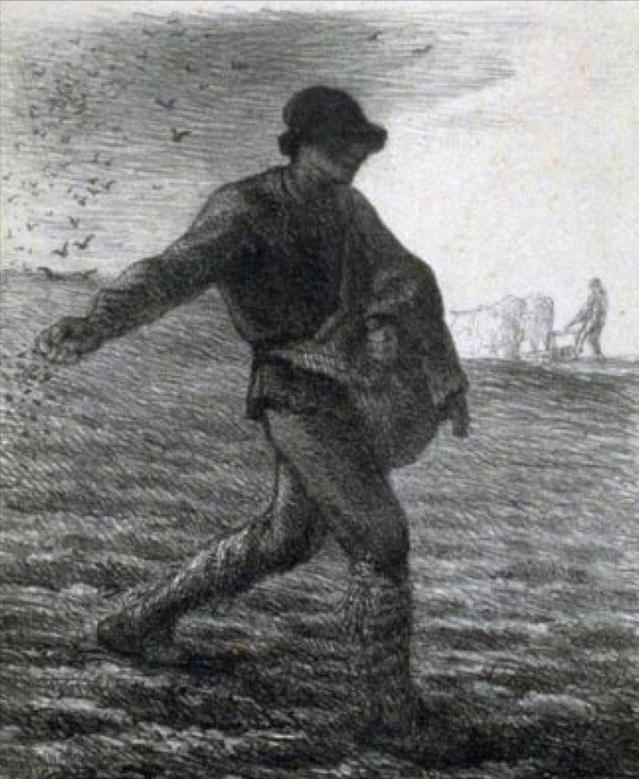 君主立宪制英格兰,欧洲君主立宪制的确立与演变过程