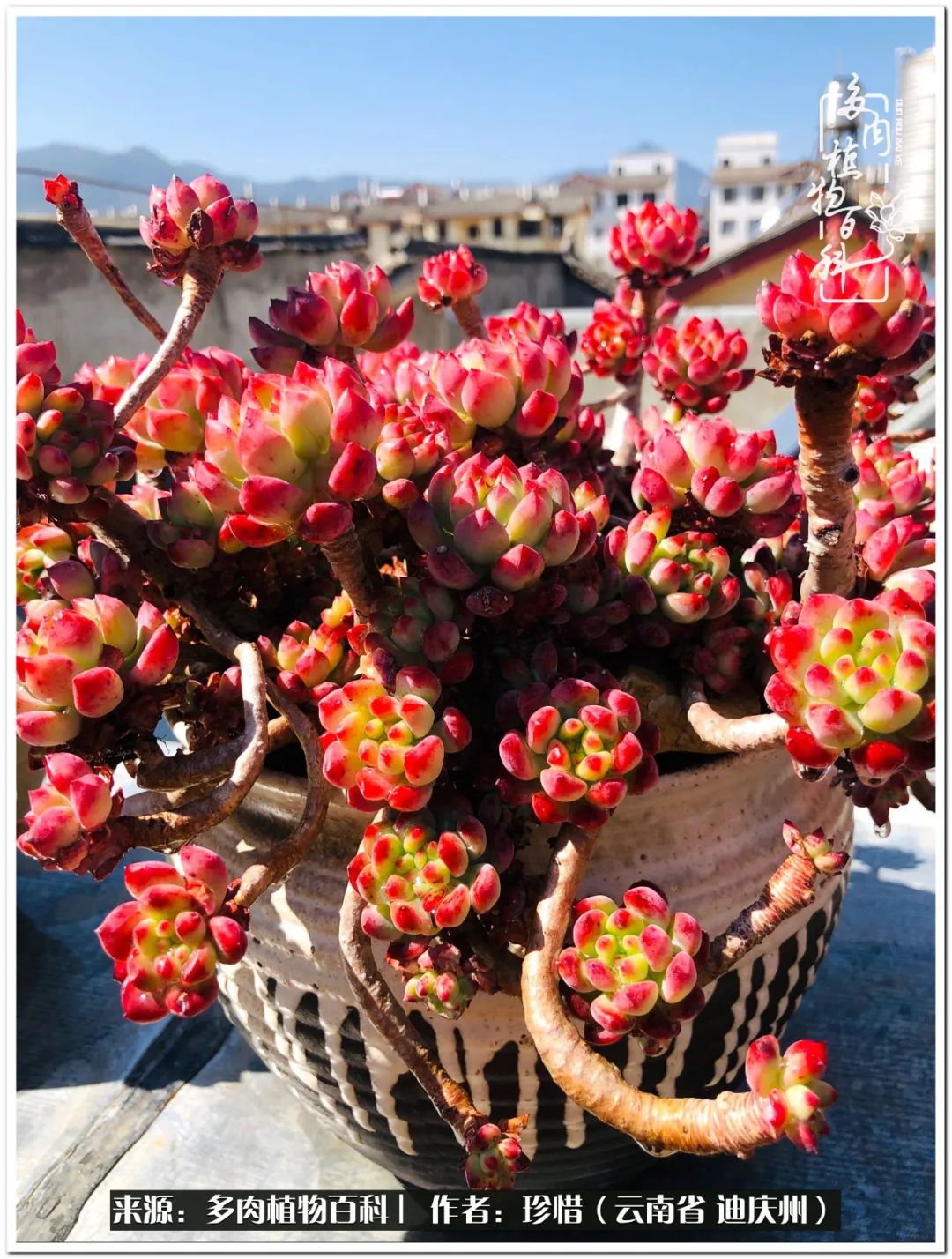 给生命一份淡然还岁月一份从容,给生命留一份洒脱的话