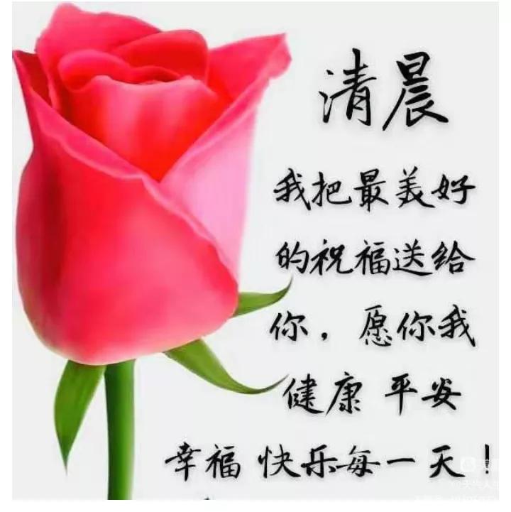 张氏一家亲群早晨问好语集锦（二）“生活哲理类”续整理/张天兴