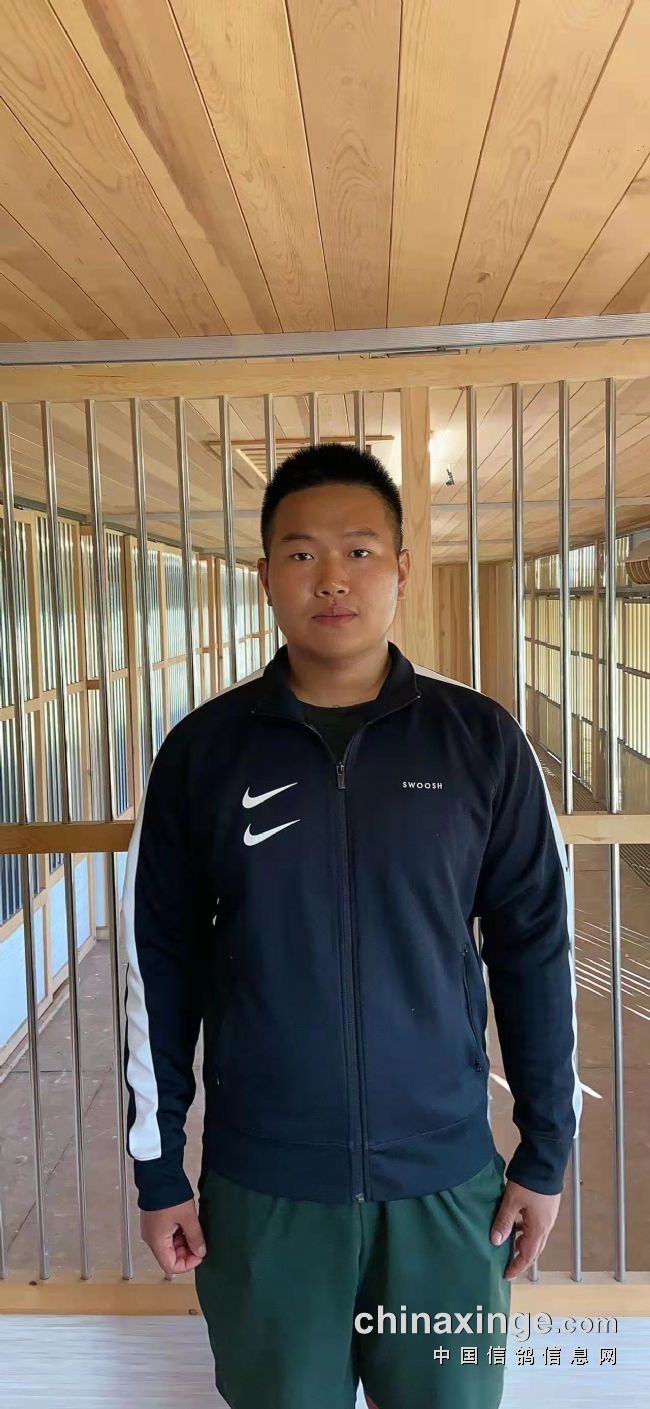 三年赢得百辆奖车职业赛场大显神威金石赛鸽团队