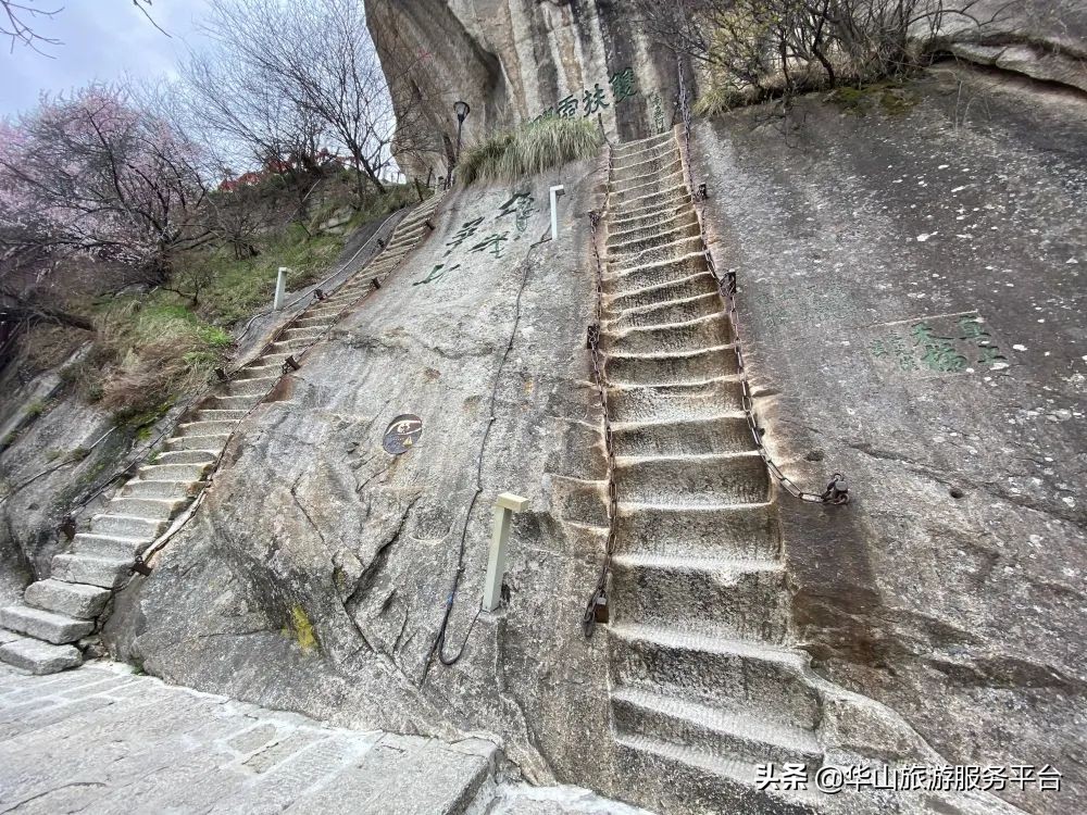 这段时间游华山免门票,华山旅游景点免门票怎么预约的