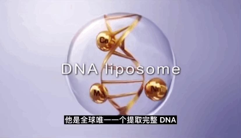 小众贵妇高奢品牌,女人不可不知的三大奢侈品牌