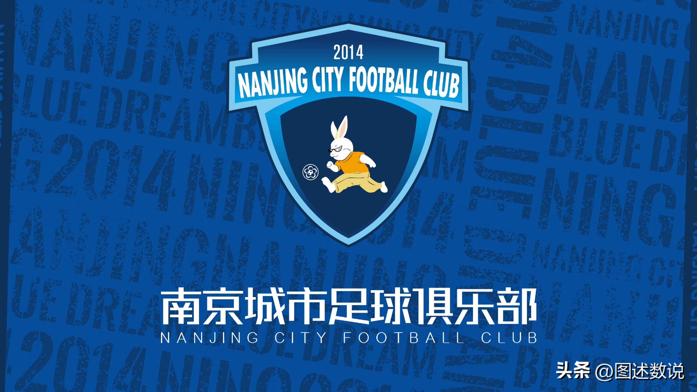 中国足球地域,中国职业球员分布