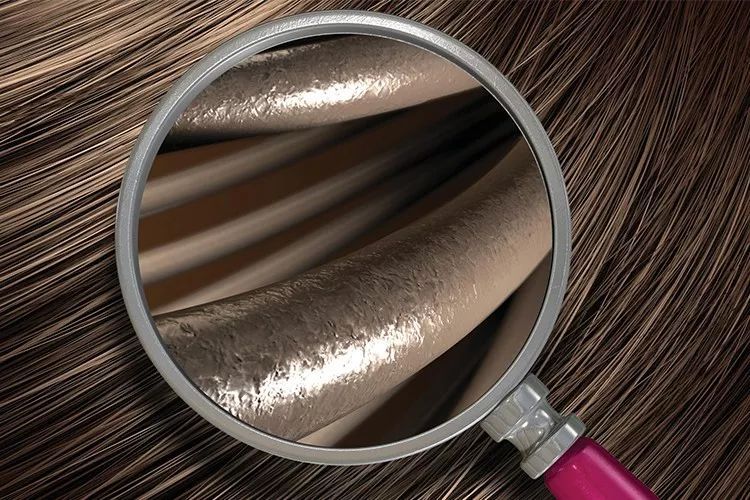 蜘蛛丝的韧性和结实度,蜘蛛丝真实性能