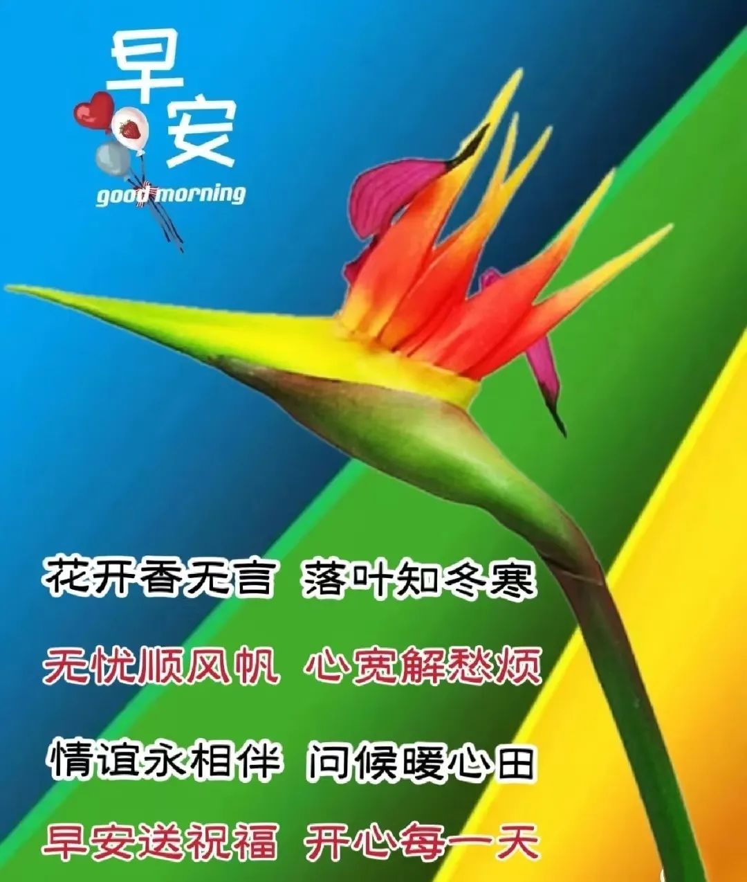 周一早安最暖心的祝福图片图文,最新周一早上好祝福图片