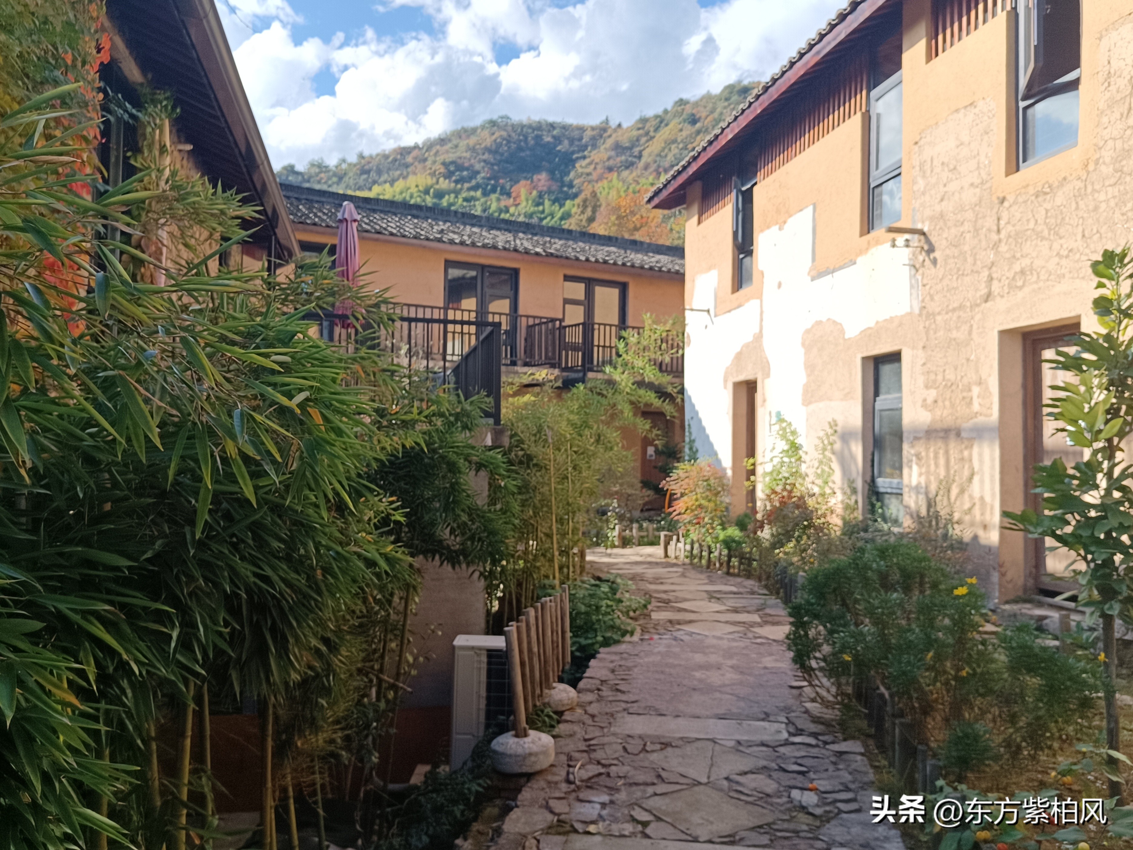 义乌大寒尖春季旅游,义乌大寒尖旅游饮食