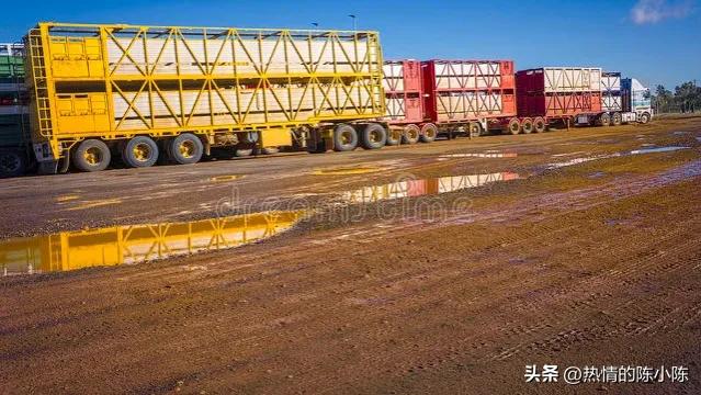 蒙古女儿出嫁陪嫁五十匹马,蒙古族陪嫁礼单