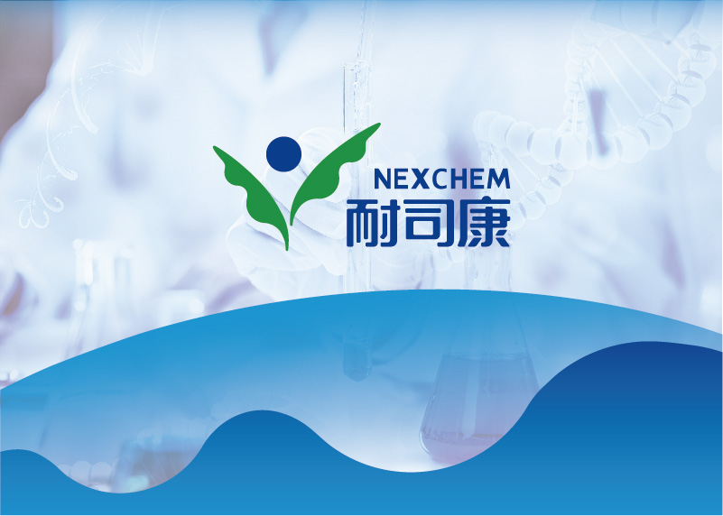 升级logo后，耐司康品牌面貌将焕然一新！