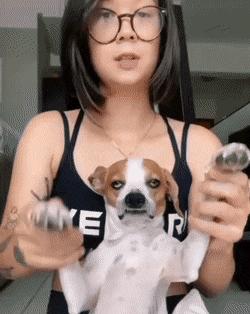 发烧真的会烧坏脑子，笑死我了哈哈哈哈哈哈哈