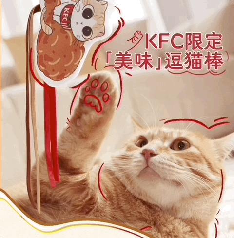 肯德基猫窝可选吗,肯德基猫窝是啥