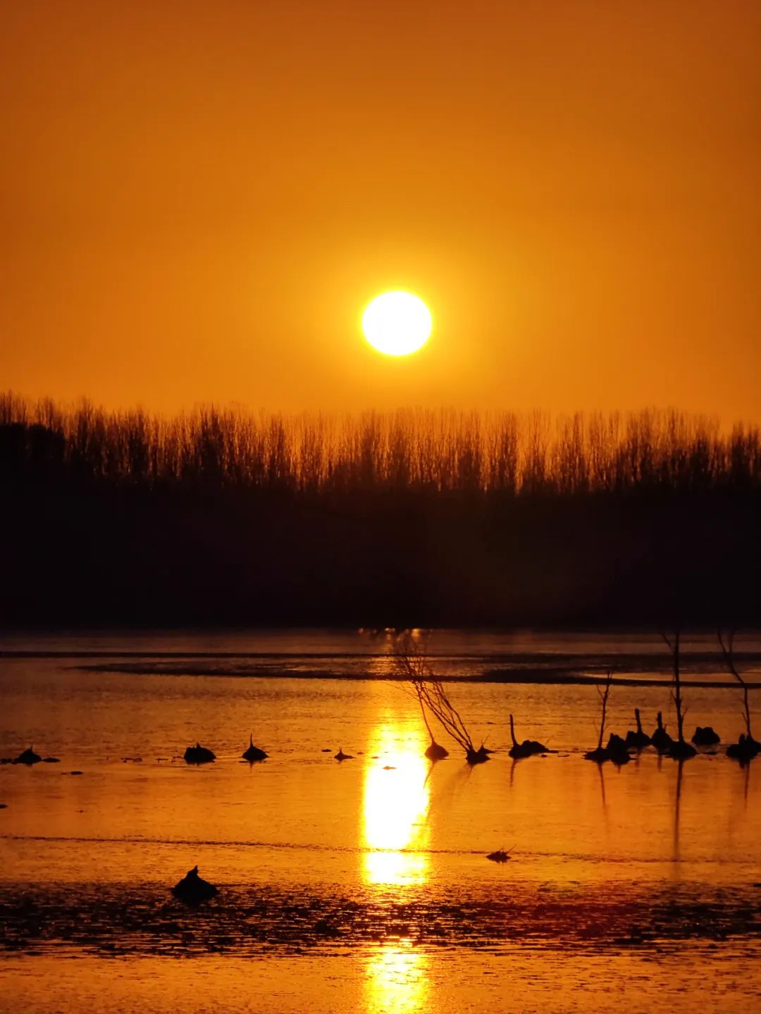 vivox90pro和小米12sultra测评,vivox90pro+和小米12sultra