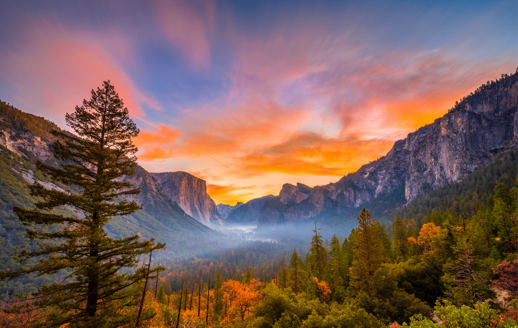 如何破解少儿从视频、音频学习到纸质文字学习的转换困局