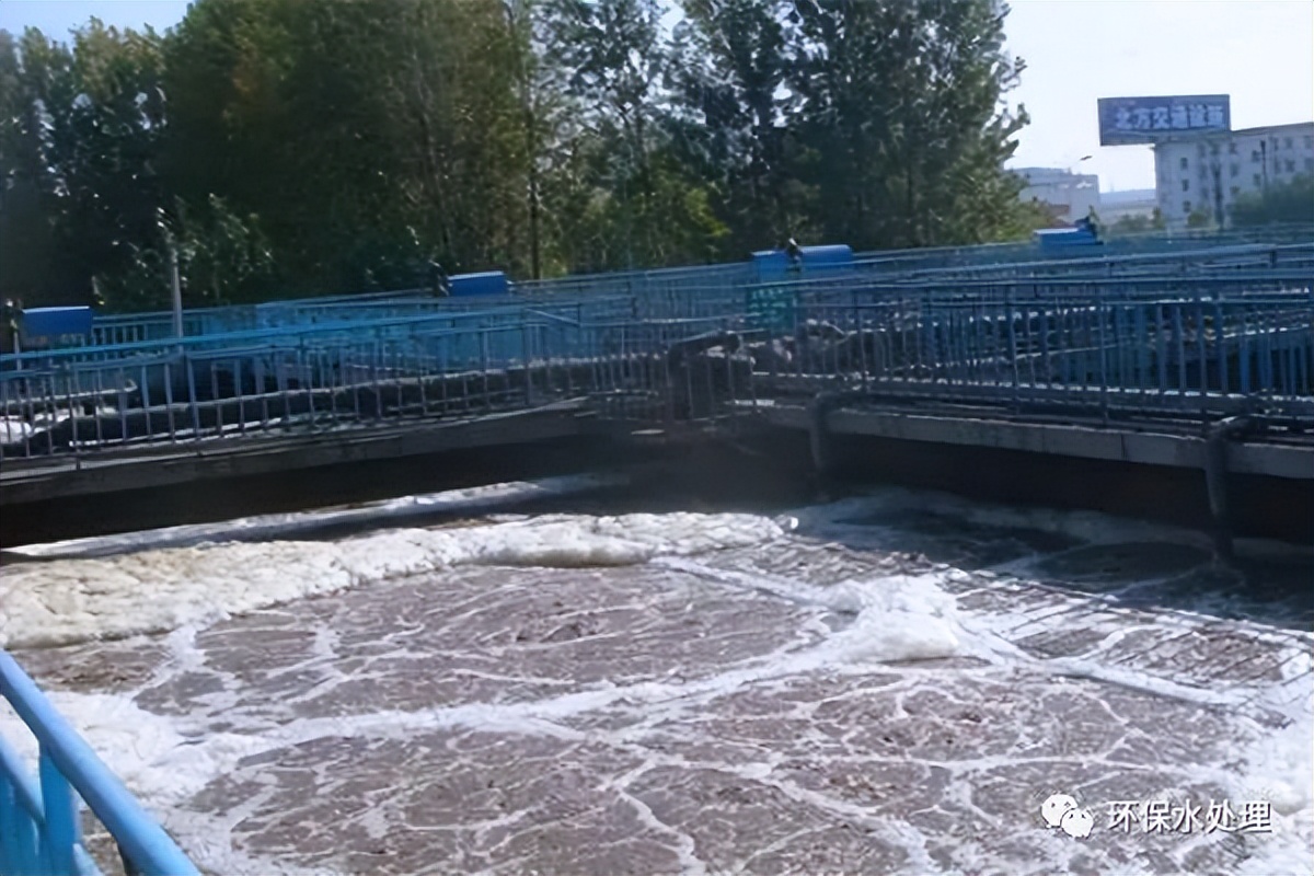 一体污水处理怎么快速培养污泥,污水处理活性污泥菌种怎么培养