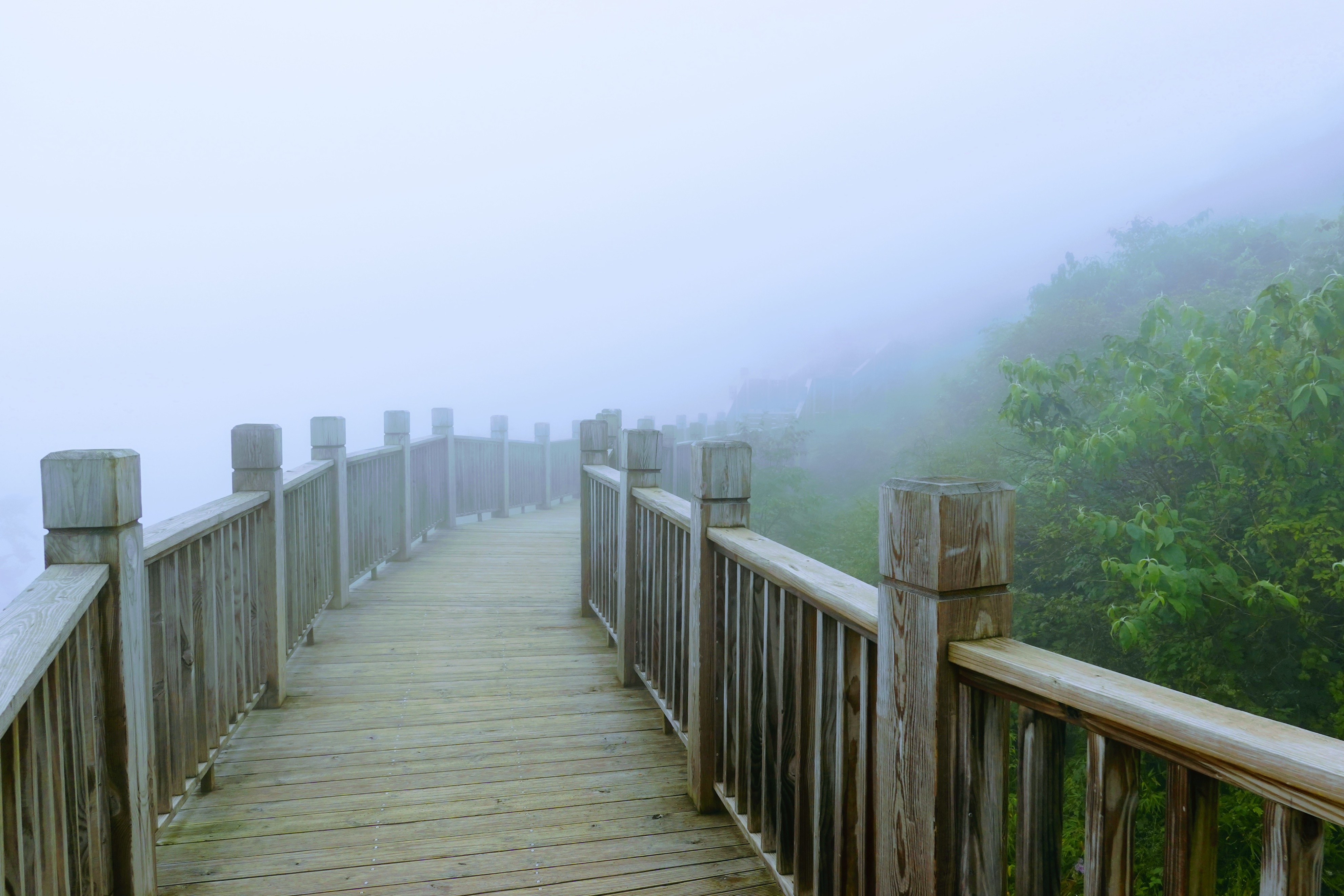 成都大邑徒步旅游攻略,大邑西岭雪山后山门票