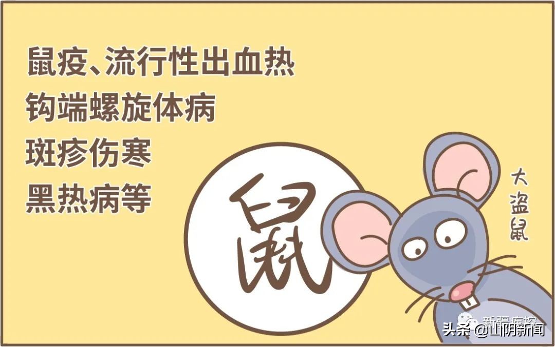 身边常见的动物传染病有哪些,动物之间传播的传染病