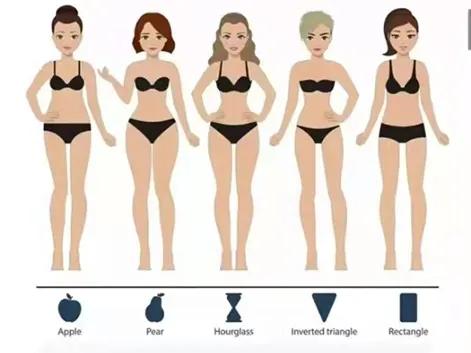 女性五大身型图片,回族女性体型对照表