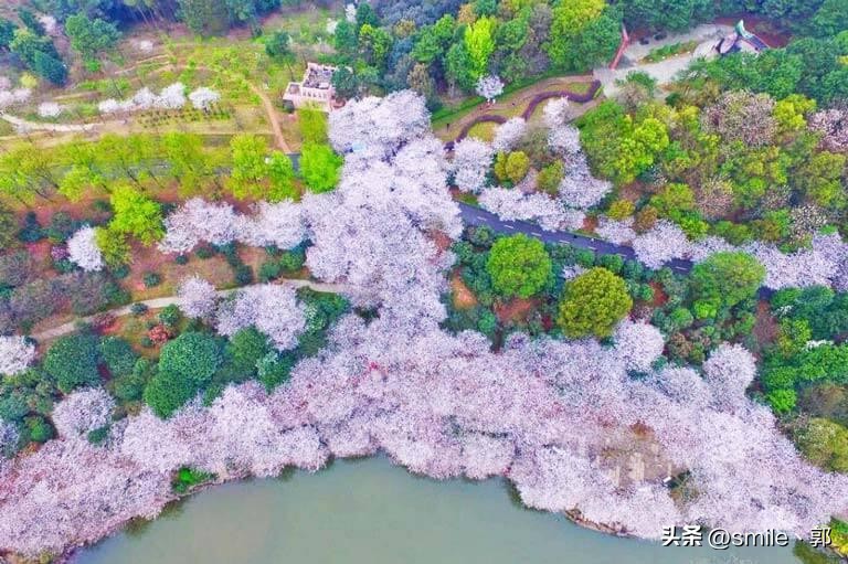 长沙游玩景点推荐亲子游,长沙星城好玩的地方