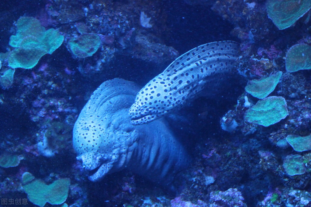 医院不愿意开的8种掉发中成药,医院不愿开的15种中成药