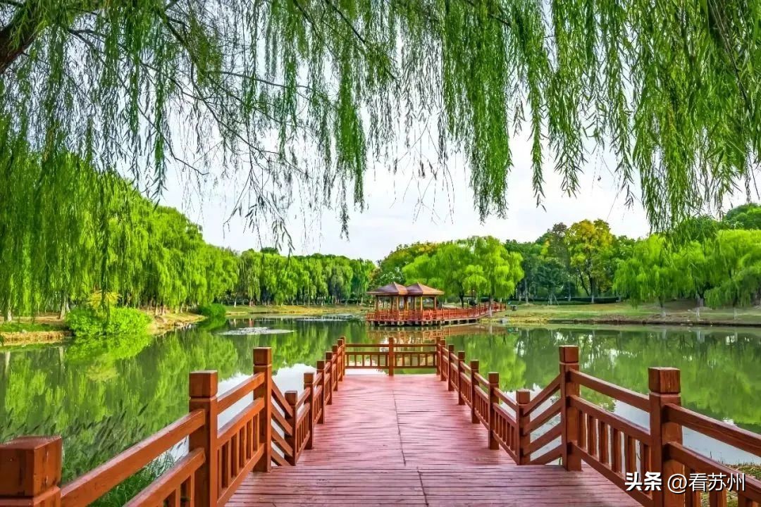 昆山地铁11号线站点全程路线图,苏州地铁十一号线站名