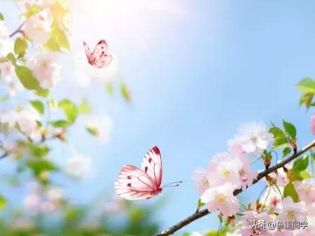 2023年是黑兔有什么说法,2023年黑兔遇上闰二月有什么说法