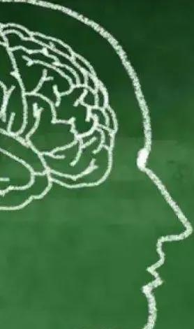 时评语录,时评和解析