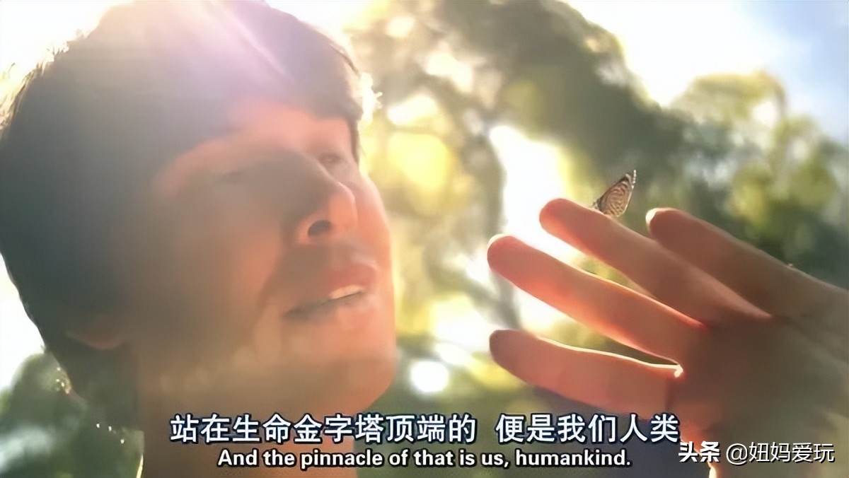 带你真切看人间的宝藏纪录片top10,十一长假适合带孩子看的纪录片