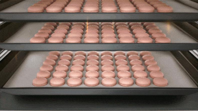 蒸烤箱哪个品牌最好最实用,蒸烤箱哪个品牌好性价比高