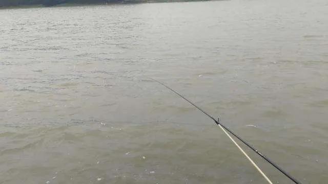 正确的闷竿尖钓法图解,闷竿钓法的优点和缺点