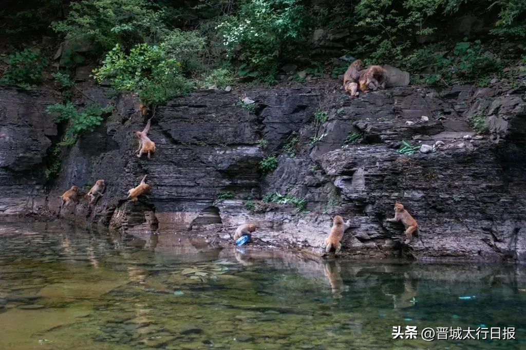 晋城适合避暑的地方,晋城避暑景区