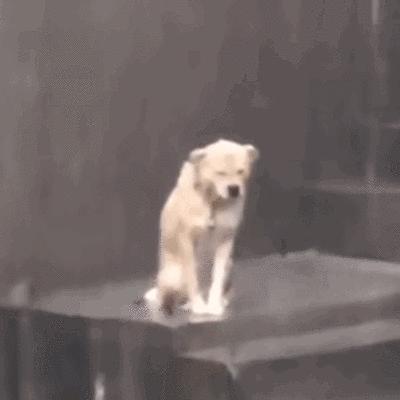 龙舟水来袭出行注意安全,龙舟水季节有水淹车吗