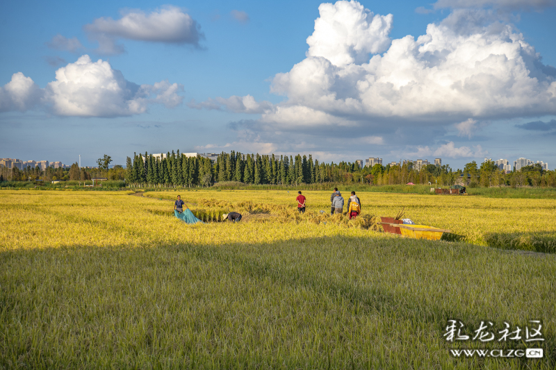 云南昆明生态旅游,昆明官渡区生态文化新城