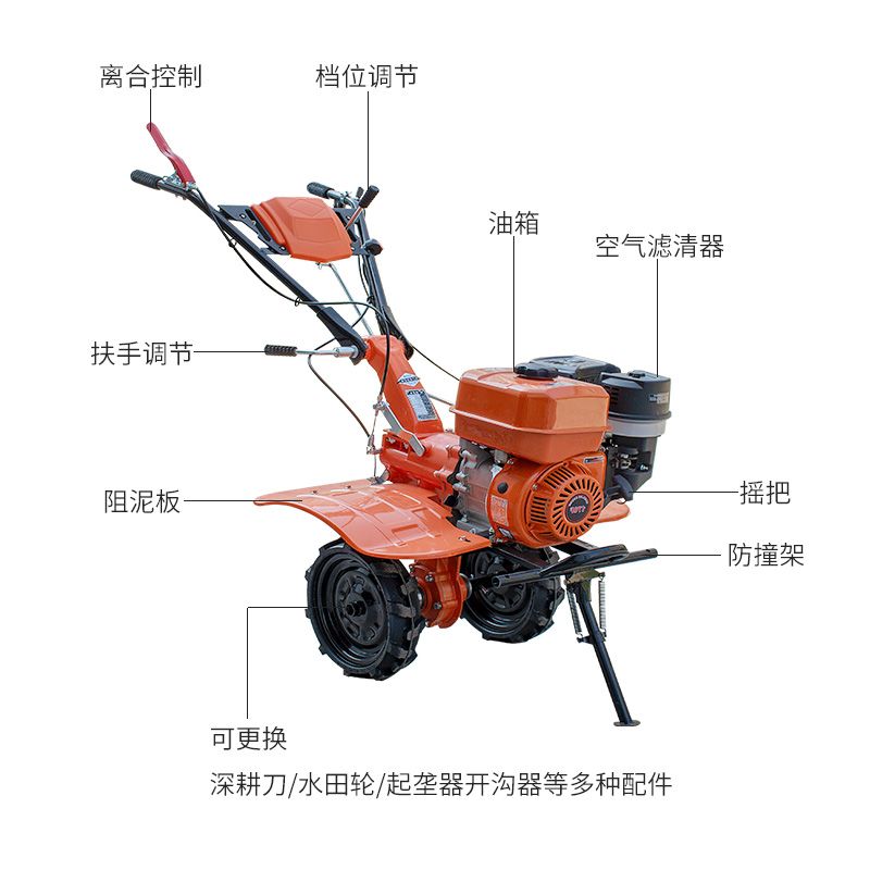 博山猕猴桃种植基地,猕猴桃产业现状及前景