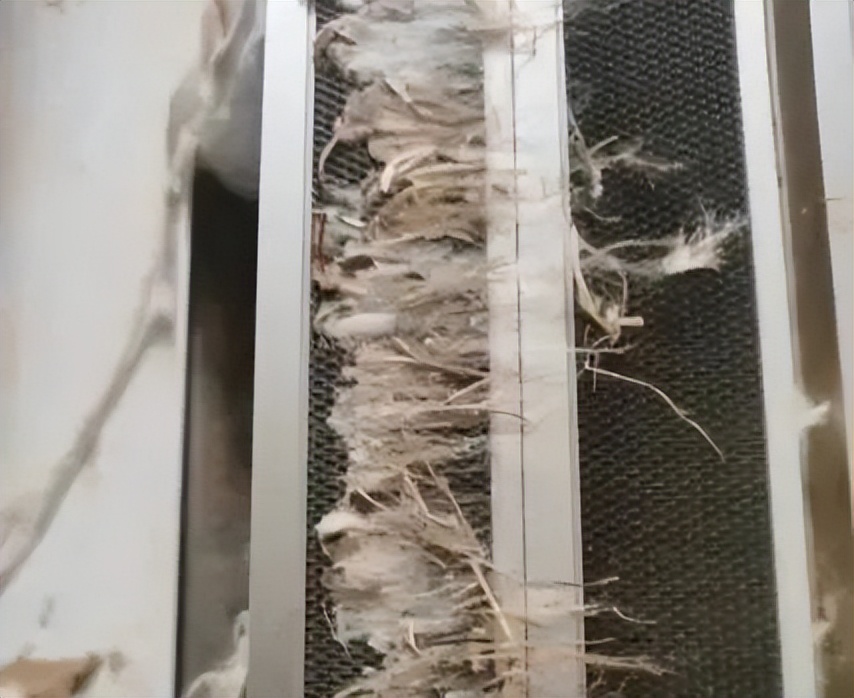 梳棉机工艺技术研究,梳棉机落棉控制