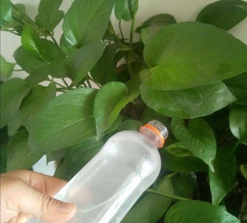 五种养花营养水,4种浇花水