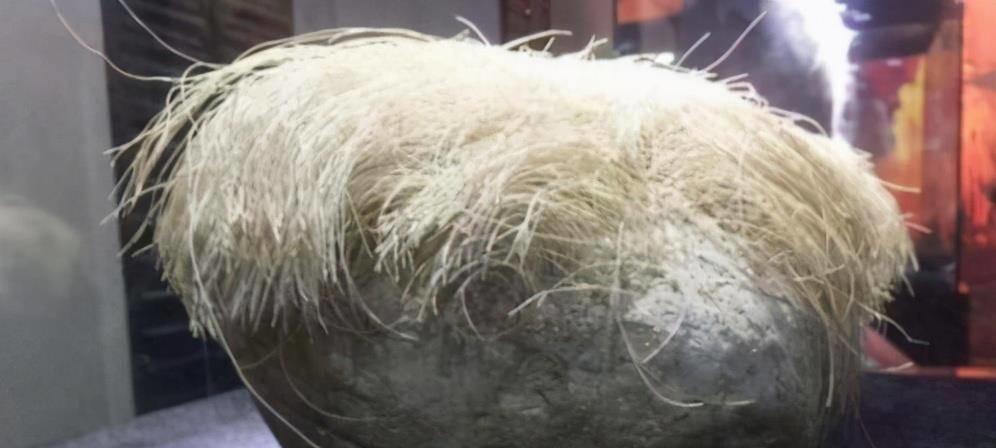 老汉捡到一长满白发石头,辽宁老农捡到一块长头发的石头