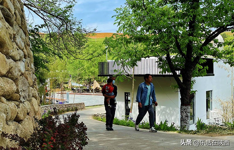 蓝田荞麦花海和高山草甸,西安荞麦花海旅游