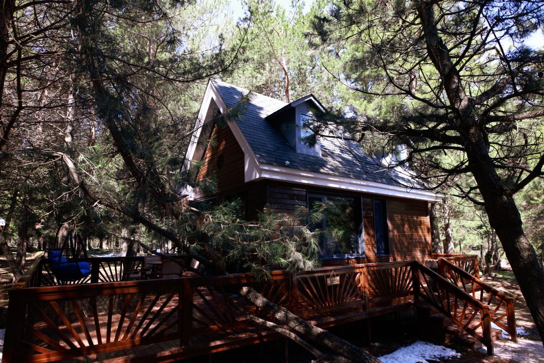 伊犁那拉提草原玩的有啥,伊犁那拉提草原是几级旅游景点