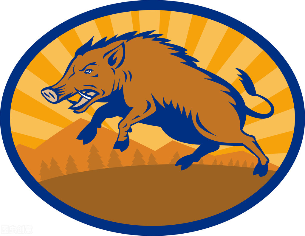 日本男人单挑,日本人与野猪打架