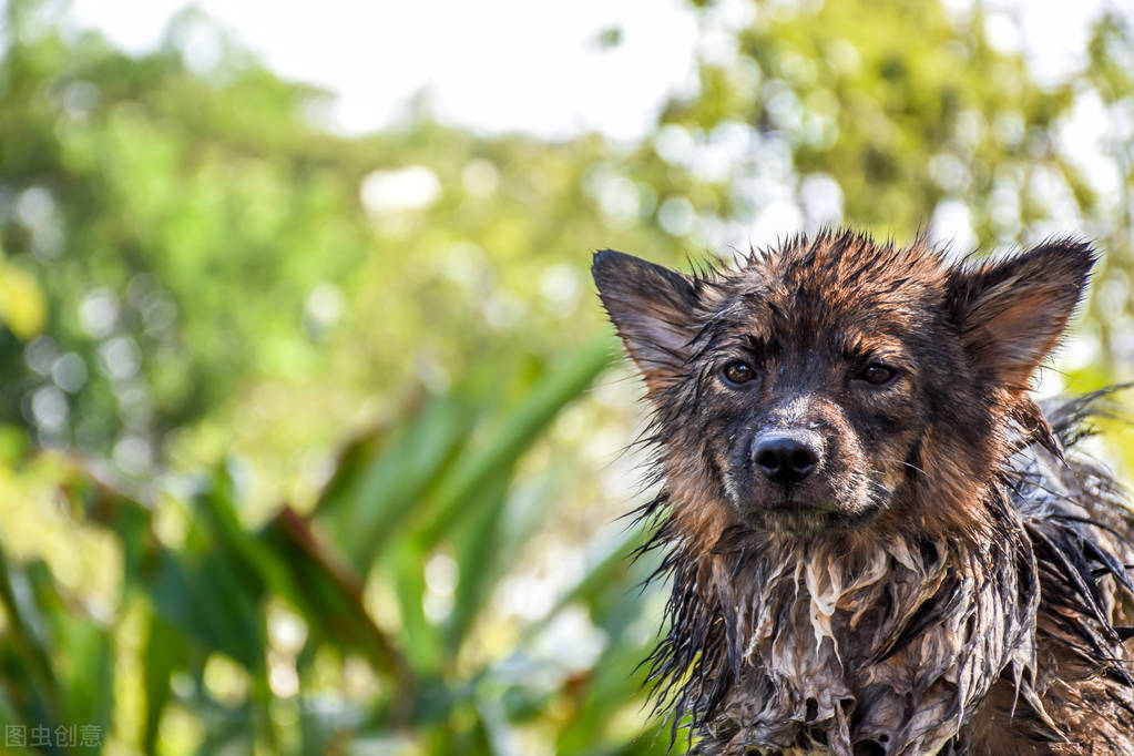 多人不知道的冷知识,连你都不知道的冷知识