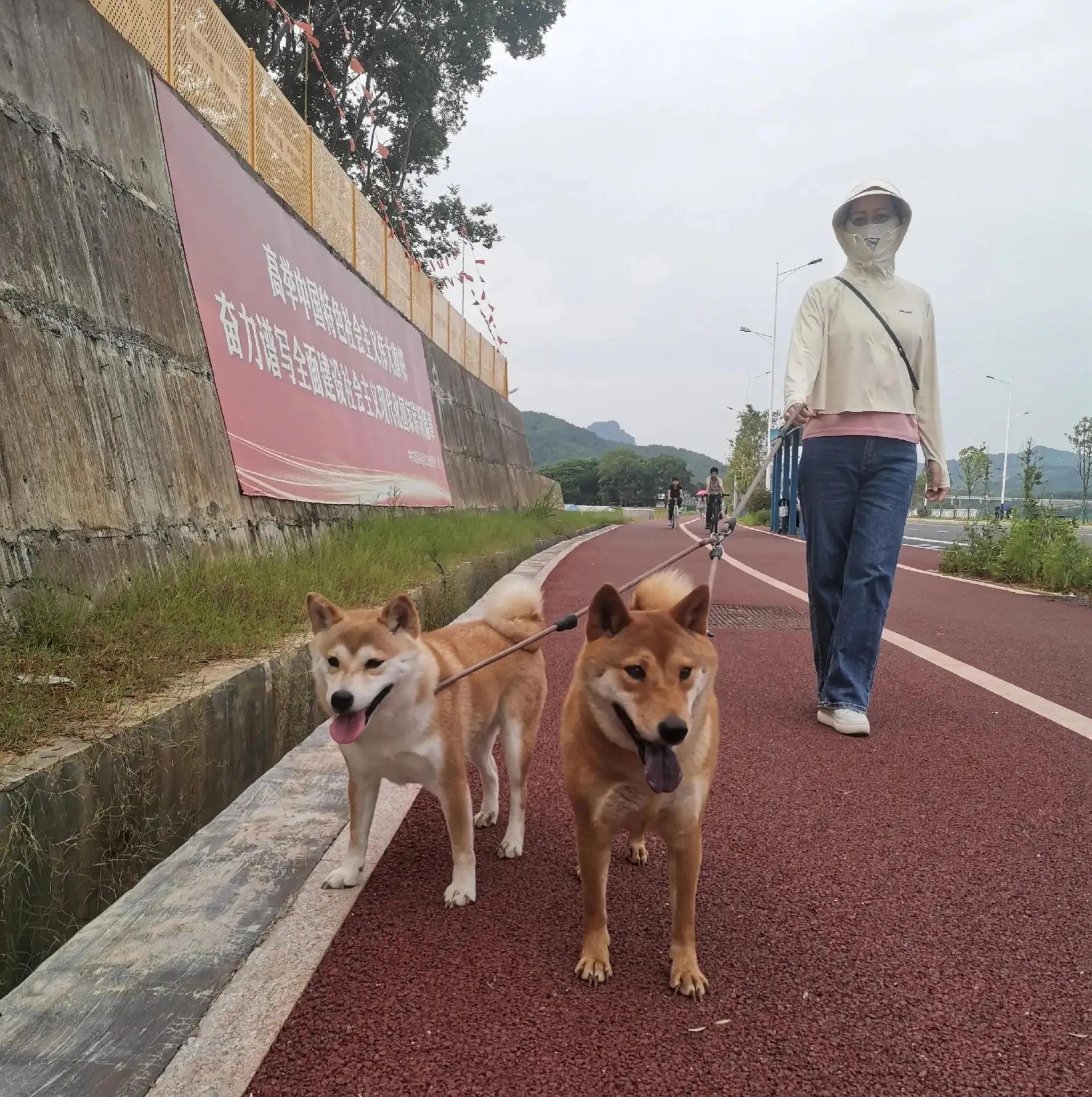 赏山水美景享田园生活,拥抱自然山水乐享田园风光