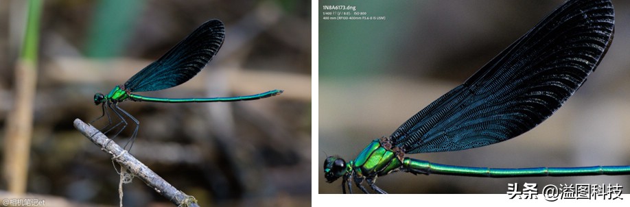 eosr7微单详细测评,佳能r7这款相机真的是值得买吗