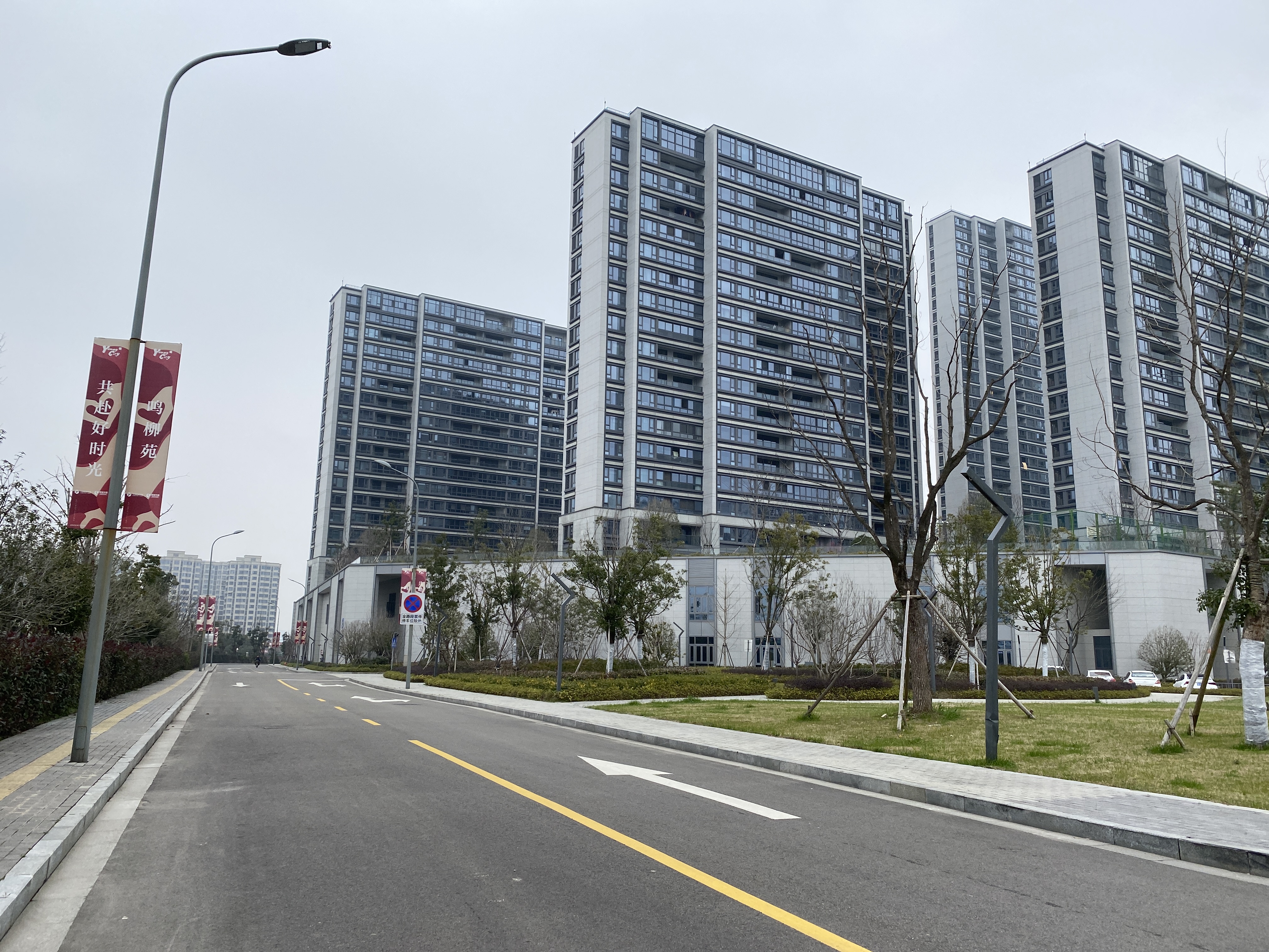 宁波地铁邱隘东站上的好兄弟，郡杨路和郡柳路，聊聊杨柳的故事