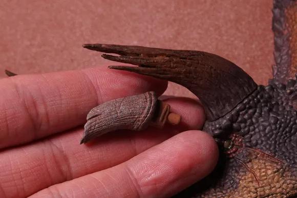 恐龙模型测评t-toy双脊龙jp版,安利亚恐龙模型镰刀龙