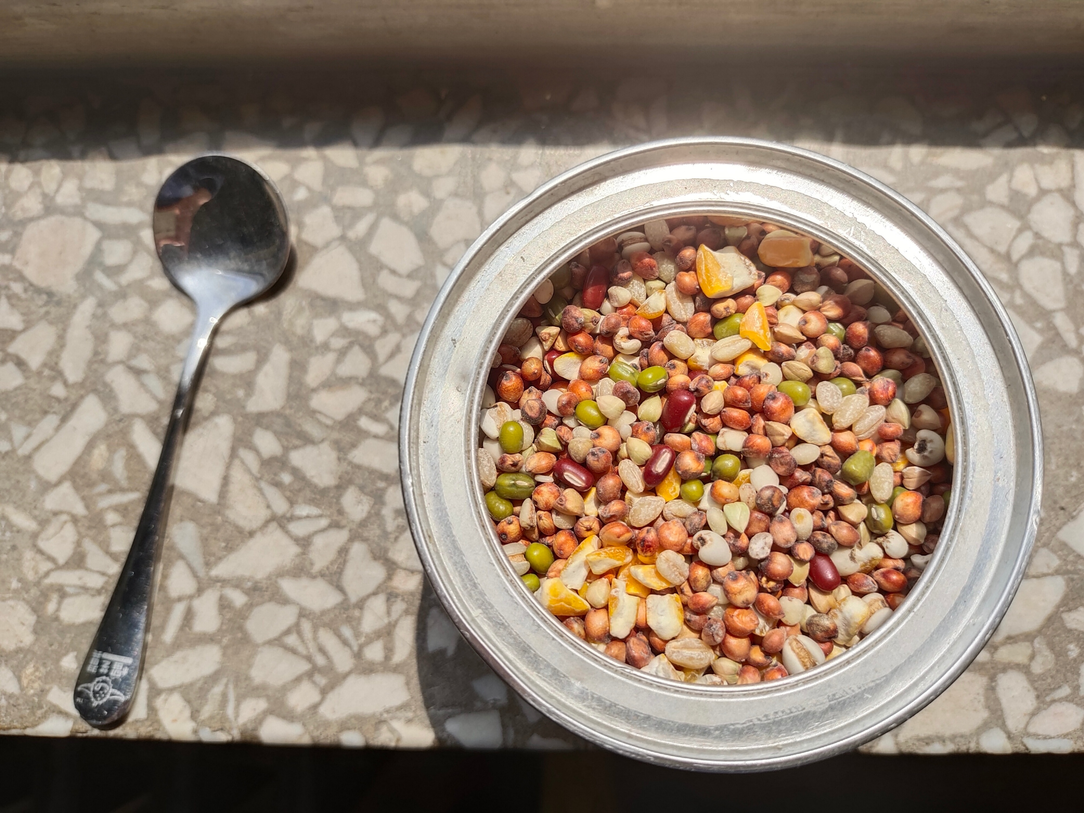 斑鸠的最佳配置,斑鸠鸟怎么喂食的