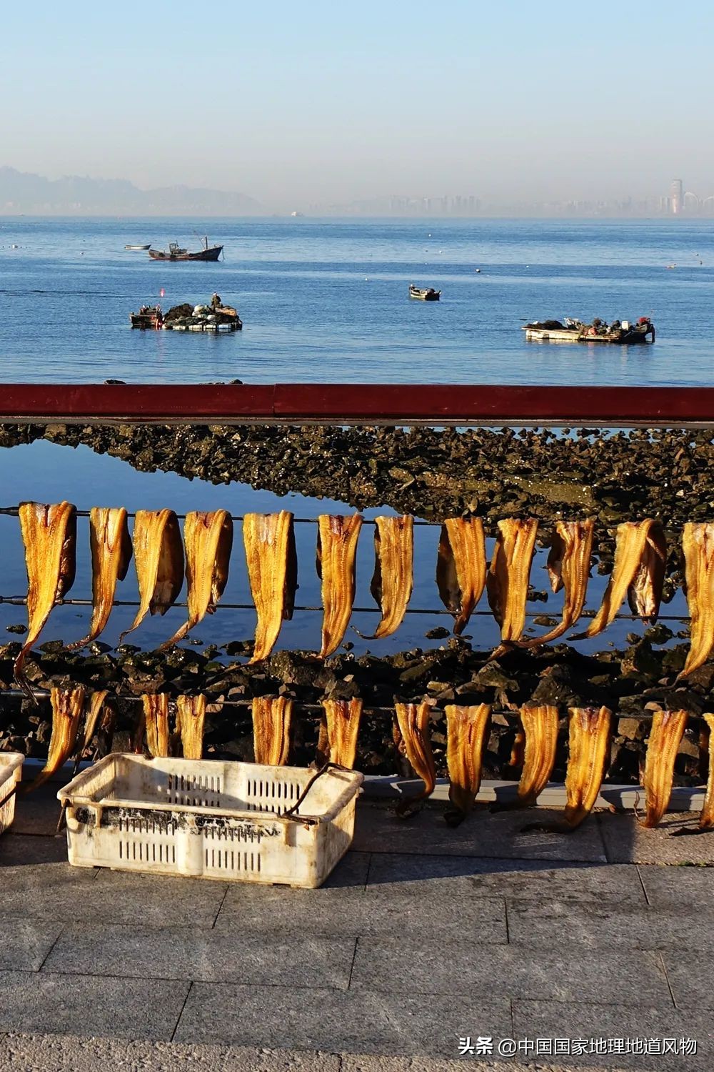 咸鱼最火地图,闲鱼攻略图