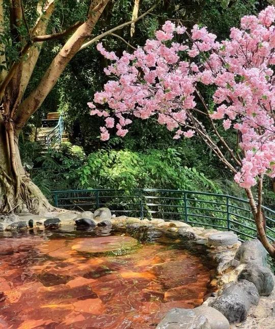 昆明的滇池周边有哪些不错的温泉,昆明温泉酒店吃住一体推荐五华区