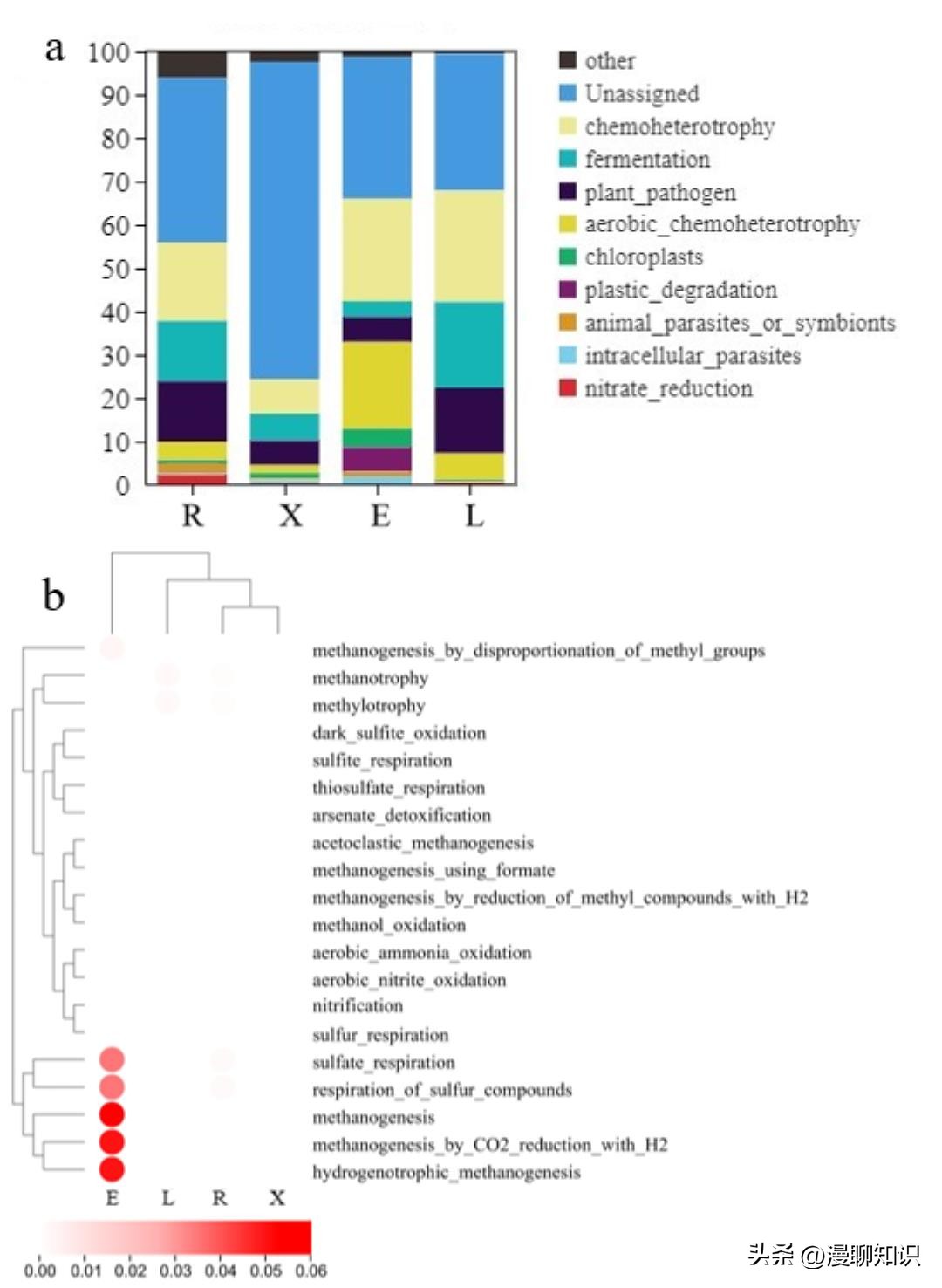 沉香异常显微结构是什么,沉香的形成和构成